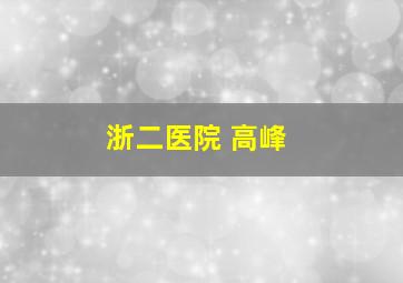 浙二医院 高峰